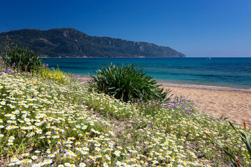 Urlop i wypoczynek, widok na morze i plaża, wyspa Korfu, Grecja