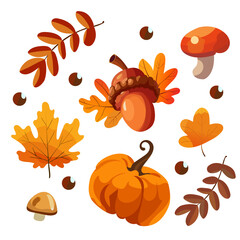 set of autumn elements mushroom, pumpkin, acorn autumn leaves vector illustration