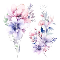 Fototapeta na wymiar Romantic Watercolor Fairy Florals: Soft Hues on Transparent Background for Dreamy Creations 