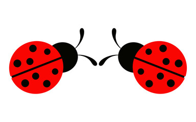 Cartoon funny ladybug isolated on white background