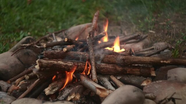 Close up of bonfire, burning logs. Beautiful calm vivid fire flame over wooden logs at summer evening. Warm campfire outdoors. Heat, camping, nature outdoor recreation concept