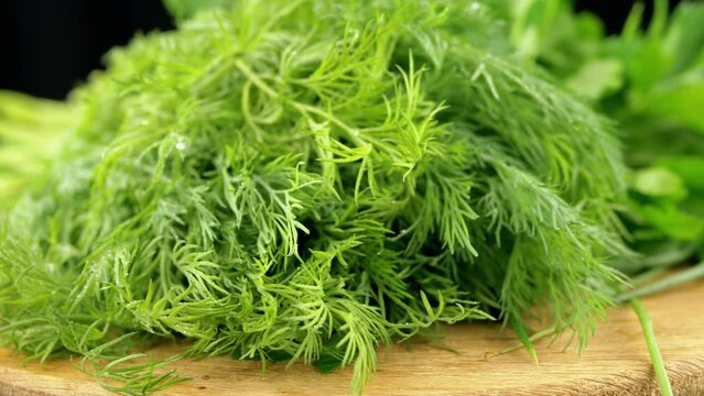 Close up, Rotation of Juicy Fresh Herbs, Dill, Onion, Parsley on a Wooden Board. Side view. Texture, water drops on leaves, details. Focus. Rotation in circle. Organic green background. Healthy food.