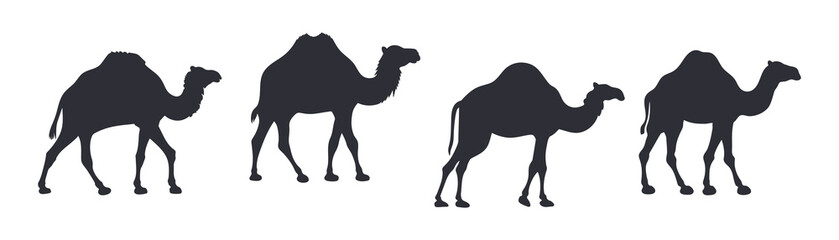 Camel vector Illustration black silhouette icon t-shirts cards