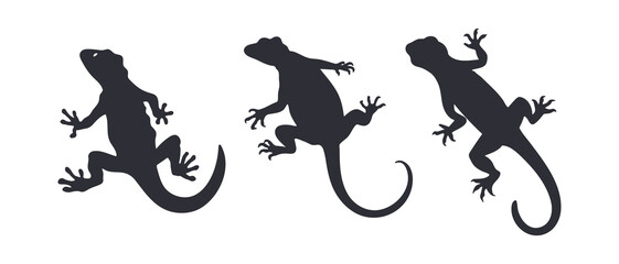 Gecko silhouette black filled vector Illustration