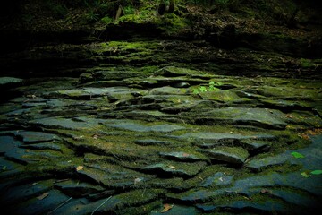 green moss on the rocks and lake