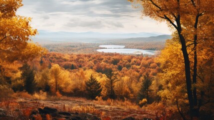 autumn landscape in the mountains with trees changing colors - obrazy, fototapety, plakaty