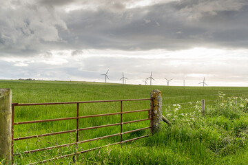 Scottish countryside landscape in the Highlands, Thurso, Scotland