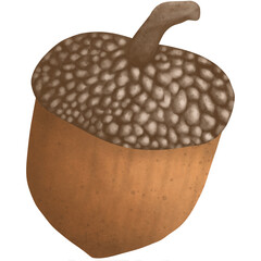 Delicious brown acorns in autumn © Nitthawan