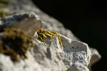 pedra na natureza