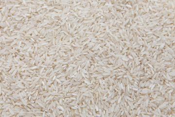Arroz blanco sin cocinar, Primer plano de granos de arroz blanco crudo. Uncooked white rice, Close-up of raw white rice grains