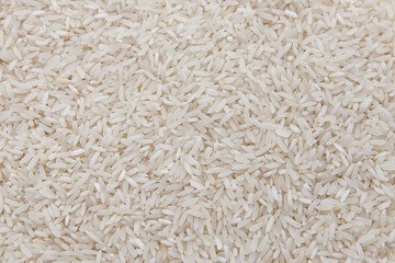 Arroz blanco sin cocinar, Primer plano de granos de arroz blanco crudo