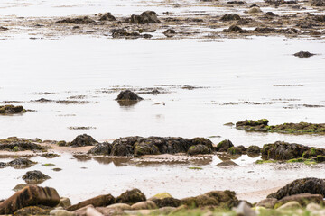 scottish seascape with a cloudy sky, Scotland