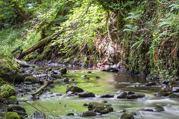 Fairy Glen Falls Rosemarkie view inside a forest, Scotland