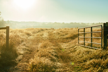 Morning dew over a grassy field full of ungrazed winter crabgrass near an open fence at the end of summer in North Carolina