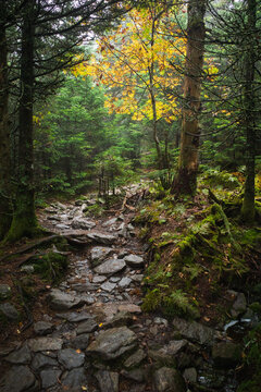 Camel's Hump Trail, Green Mountain National Forest, Vermont