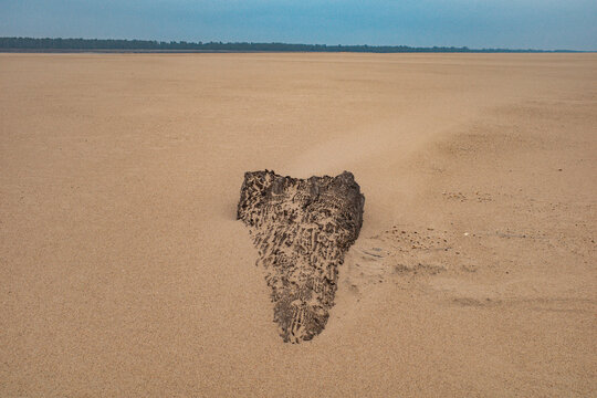 A stump embedded in the sand of an island on the lower Mississippi River