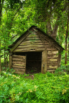 Abandoned shack in the woods in North Carolina
