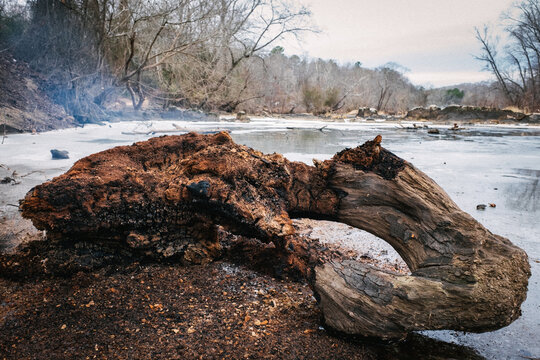 Burning log on the haw river in winter, Saxapahaw, North Carolina