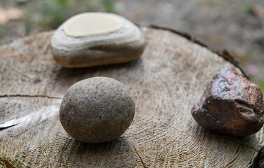 Fototapeta na wymiar Composition of rocks on tree stump in the garden