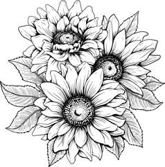 Sunflowers Line Art