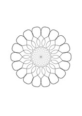 Rosette in form einer sternförmigen blüte mit einer vielzahl sich teilweise überlappenden blütenblättern