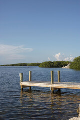 dock at ocean and green trees