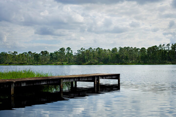 Fototapeta premium dock at the lake green trees