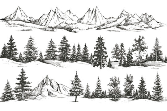 Vector sketch of forest and mountains