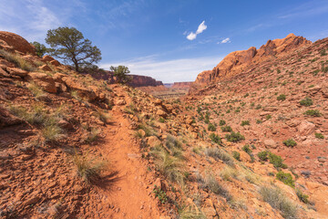 hiking the syncline loop trail in island in the sky district of canyonlands national park, utah, usa