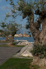 Salo mit Som Santa Maria Annunziata, am südwestlichen Gardasee
