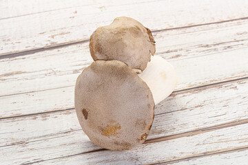 Raw Eringi mushrooms for cooking