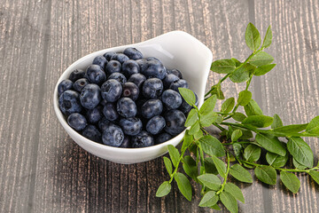 Ripe sweet blueberry in the bowl