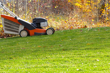Autumn season, lawn mowing in the garden.