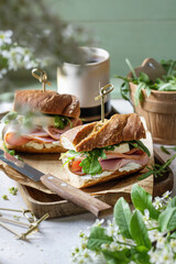 Ciabatta baguette sandwich lifestyle picnic with bacon, salad, cheese and greens