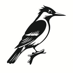 Woodpecker silhouettes and icons. Black flat color simple elegant Woodpecker animal vector and illustration.
