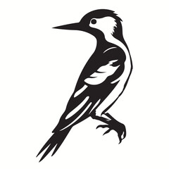 Obraz premium Woodpecker silhouettes and icons. Black flat color simple elegant Woodpecker animal vector and illustration.