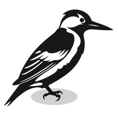 Woodpecker silhouettes and icons. Black flat color simple elegant Woodpecker animal vector and illustration.