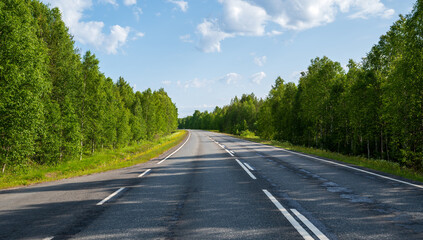 Fototapeta premium Empty asphalt road in the coniferous forest