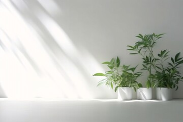 Generative AI : An original light background image with a slight shadow of a plant for the presentation of various products or goods