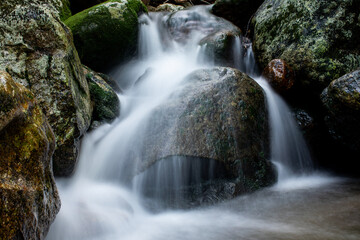 waterfall in the forest
White Mountain National Forest brook, New Hampshire 