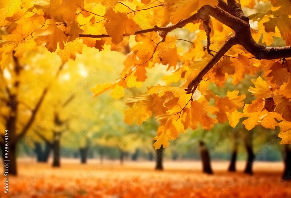 Poster generative ai : autumn background colorful yellow and red maple foliage on a sunny day autumnal park