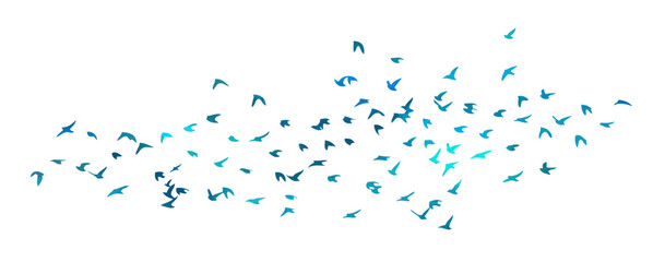 A flock of blue watercolor flying birds. Free birds abstraction Vector illustration