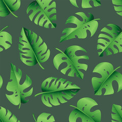 Seamless pattern of tropical palm leaves, jungle Monstera leaves. Exotic collection of green plant. Hand drawn botanical vector illustration for greeting card, wallpaper, wrapping paper, fabric