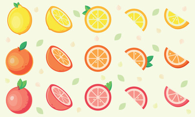 Set of citrus fruit. Vector collection of lemon, orange and grapefruit.