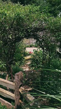 wooden bridge in the forest,stone, nature, rock, water, forest, tree, landscape, garden, rocks, river, stream, trees, waterfall, park, bridge, stones, grass, mountain, wood, travel, creek, summer, spr