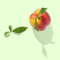 single nectarine on green pastel background