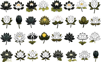 Fototapeta na wymiar leaf lotus silhouette abstract illustration white black floral flower pattern symbol vector background bloom blossom plant ornament vector set