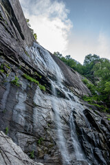 hickory nut falls