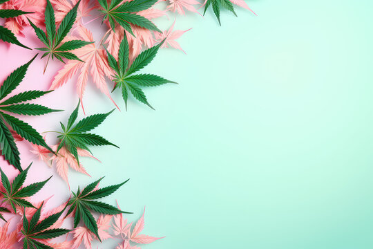 Fresh cannabis leaves lay on a flat surface with copy space for text. Light pastel green and pink colors. Marijuana banner template.