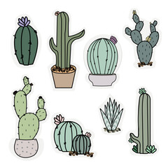 Set of beautiful cactus and succulents. Cactus in pots. Cactus stickers set-cactus-set-of-succulent-flowers-in-pots